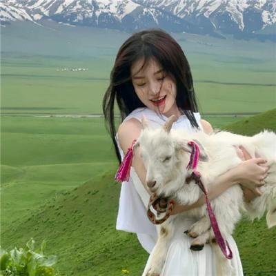 无敌雷诺