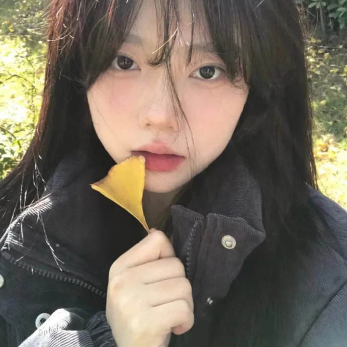 安妮日记